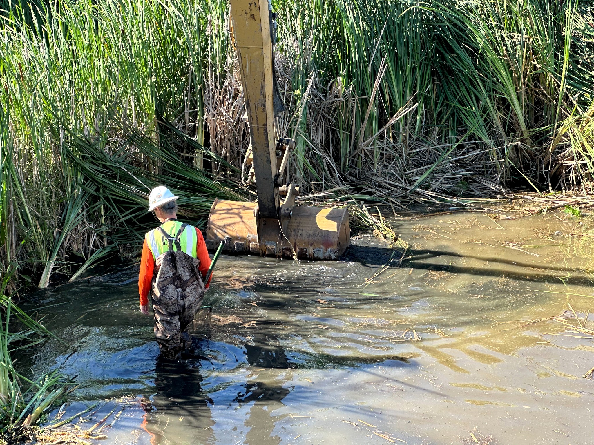 West of Bayshore Improvements field work